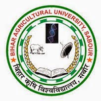 BAU Recruitment 2014