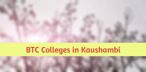 DIET Kaushambi Colleges