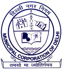 Junior engineer