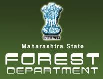Forest Project Department