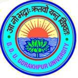 DDUGU Recruitment 2014