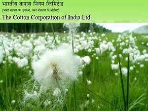 Cotton Corporation Of India Limited