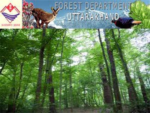 Uttarakhand Forest Department Recruitment 2014