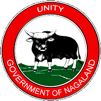 Nagaland Police Job Vacancies Recruitment 2015