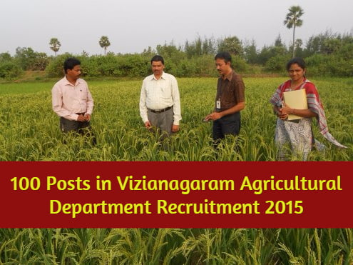 100 Posts in Vizianagaram Agricultural Department Recruitment 2015