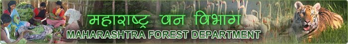 Maharashtra Forest Guard Admit Card 2015
