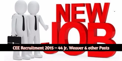CEE Recruitment 2015 – 44 Jr. Weaver & other Posts