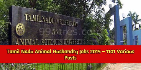 Tamil Nadu Animal Husbandry Recruitment 2015 – 1101 Various Posts