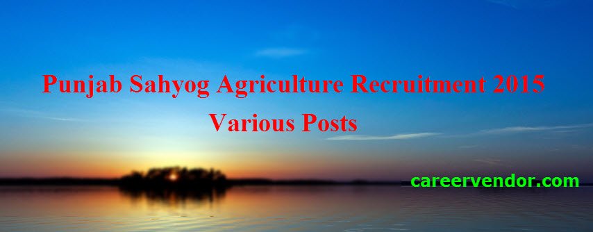 Punjab Sahyog Agriculture Clerk, Field Officer Vacancies 2015